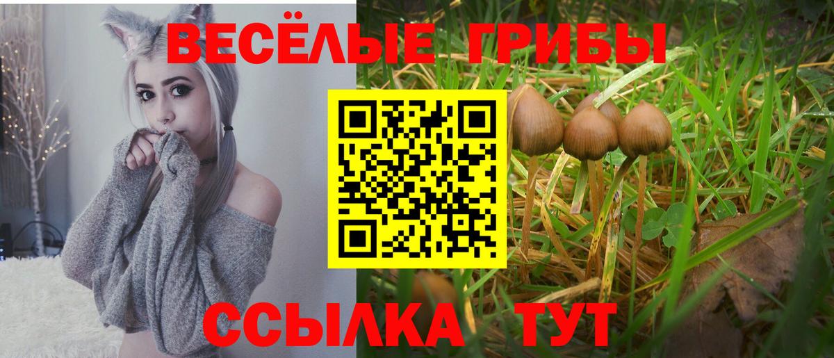 Псилоцибиновые грибы Magic Shrooms Алапаевск