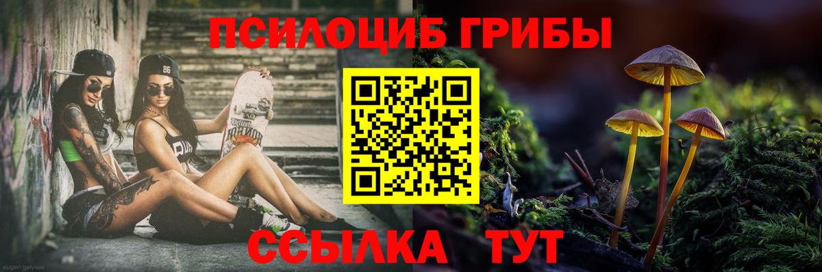 Алапаевск  Галлюциногенные грибы Cubensis  Вход с VPN  Галлюциногенные грибы мухоморы 